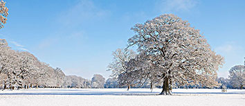 德国传奇球员领衔国际足球比赛