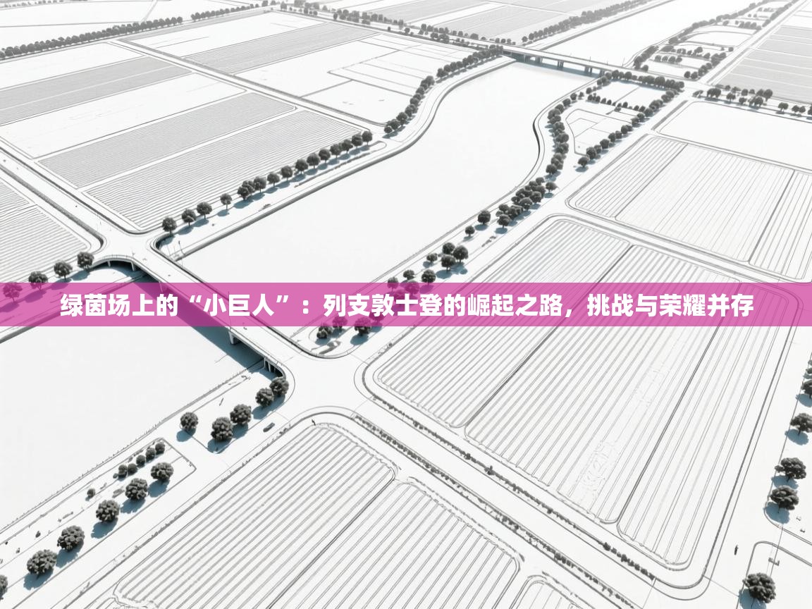 绿茵场上的“小巨人”：列支敦士登的崛起之路，挑战与荣耀并存  第1张