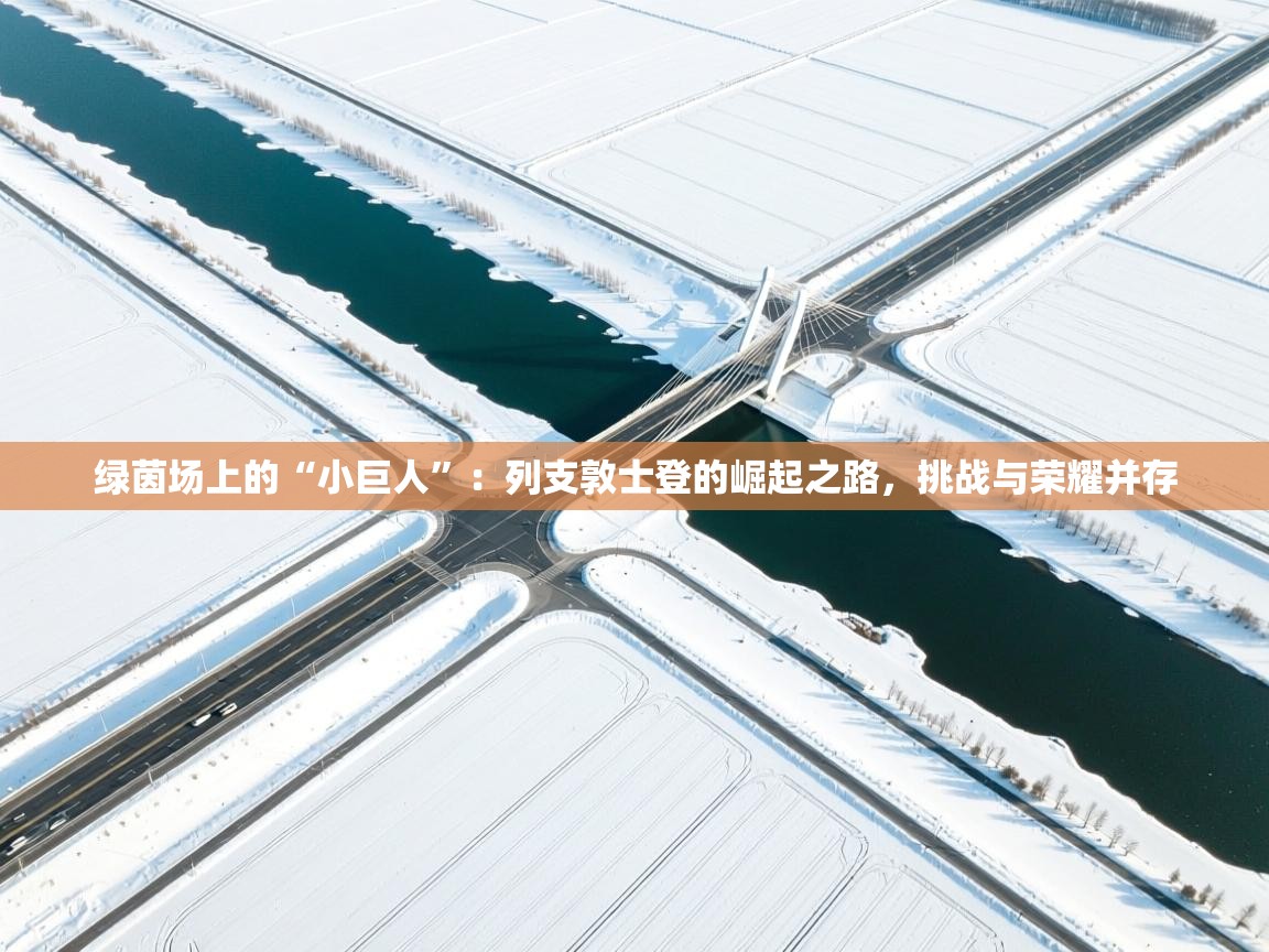 绿茵场上的“小巨人”：列支敦士登的崛起之路，挑战与荣耀并存  第2张