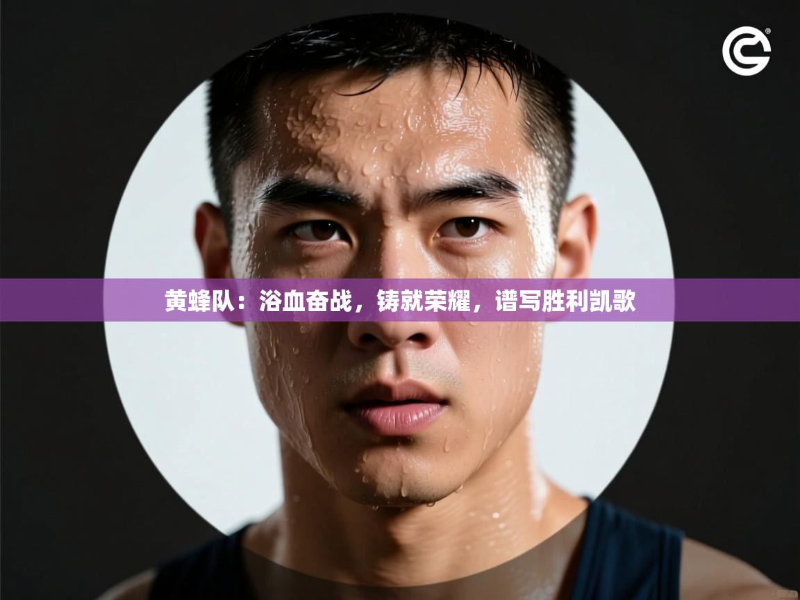 黄蜂队：浴血奋战，铸就荣耀，谱写胜利凯歌  第2张